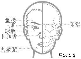 奇穴头颈部穴