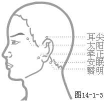 奇穴头颈部穴