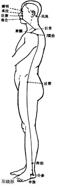 阳跷脉